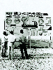 청원지구 잠업주산단지 조성계획 1968 청원 의 사진