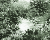 충청북도 4-H 야영교육 캠프촌 전경 1959 8 속리산 의 사진