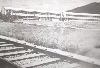우암초등학교 1966 의 사진