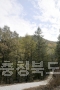 청원군 문화관광 사진 옥화자연휴양림 의 사진