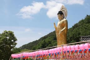 20260524 - 부처님오신날 봉축법요식(법주사, 권한대행) 의 사진