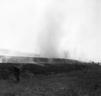 논 밭두렁 태우기 의 사진