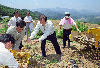 고냉지 감자 수확현장 방문 의 사진