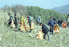 국토 대청결 활동 의 사진
